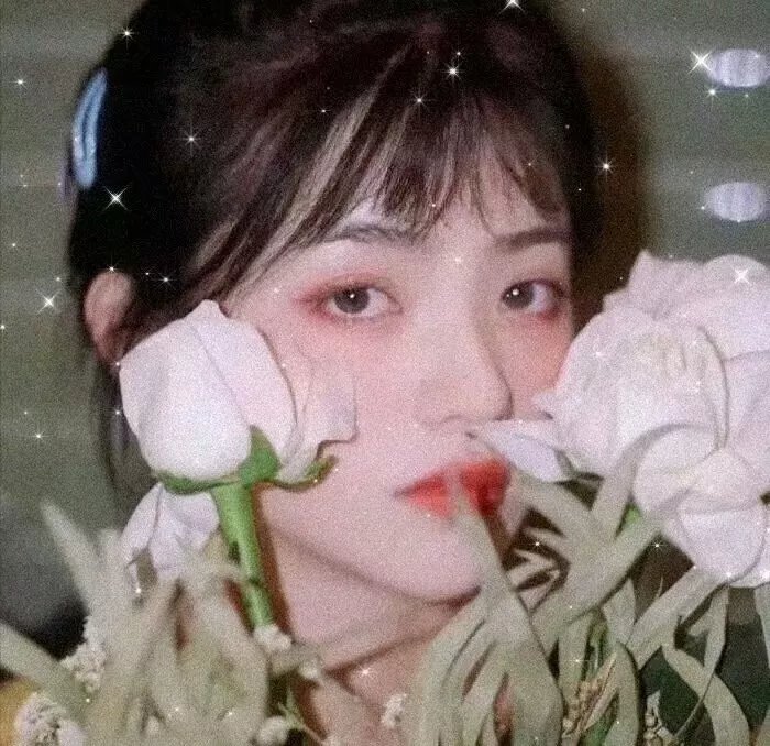 导演先生的完美假期